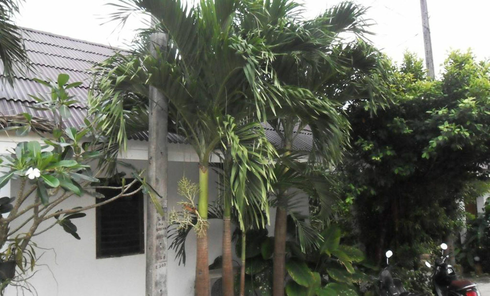 Aonang Sr Bungalows Ao Nang Exterior foto